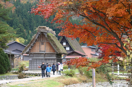 ☆白川郷の山里はいよいよ紅葉