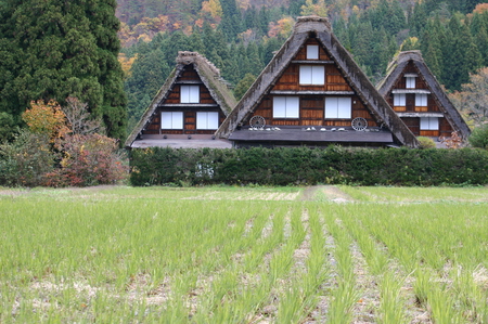 ☆白川郷の山里はいよいよ紅葉