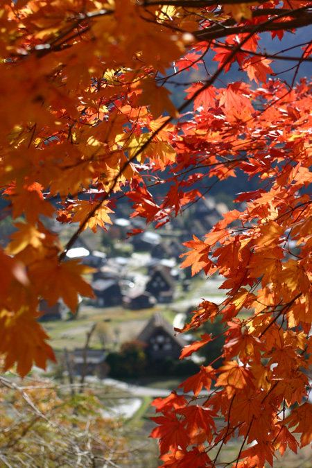 ★白川郷の秋〜冬をゆっくり味わう◇紅葉、
