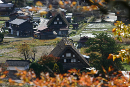 今年の紅葉は終盤に２