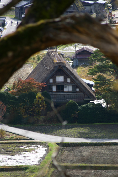今年の紅葉は終盤に３
