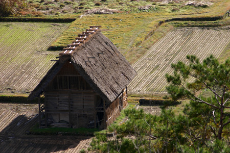 今年の紅葉は終盤に４