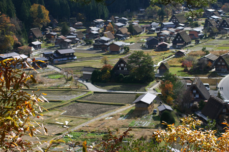 今年の紅葉は終盤に５