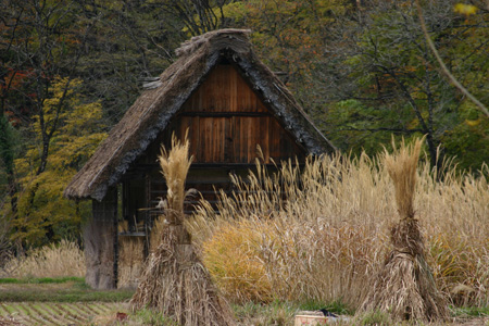 〜冬紅葉〜紅葉の季節が終わりに近づき、３