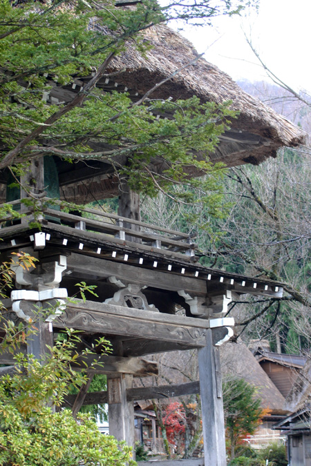 〜冬紅葉〜紅葉の季節が終わりに近づき、４