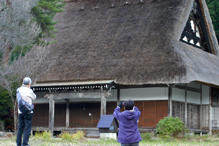 〜冬紅葉〜紅葉の季節が終わりに近づき、５
