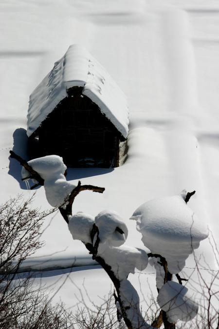 ☆四季折々の風景〜まもなく〜白川郷2