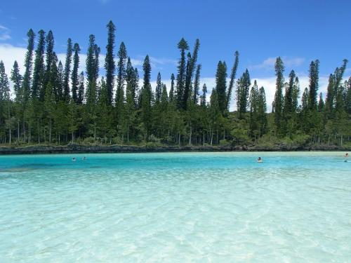 ピッシンヌナチュレル