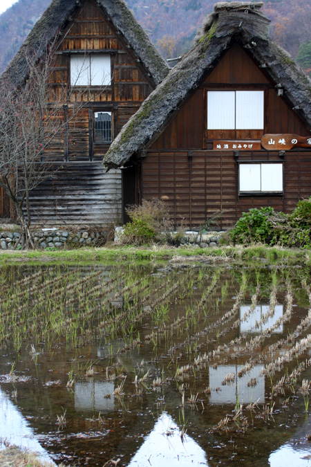 初冬を迎える白川郷の旅は・・・・観光のピ