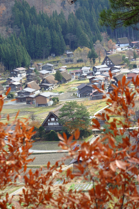 (n‘∀‘)η 初冬の世界遺産白川郷２