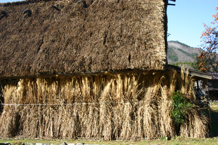 (n‘∀‘)η 初冬の世界遺産白川郷９