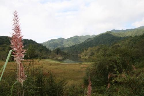 ジープ道を行く