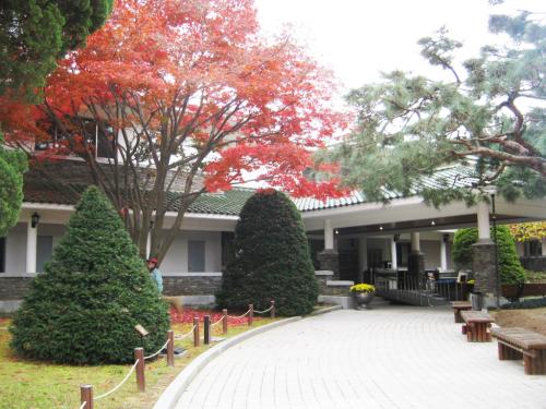 製パン王キムタックの会長の家!