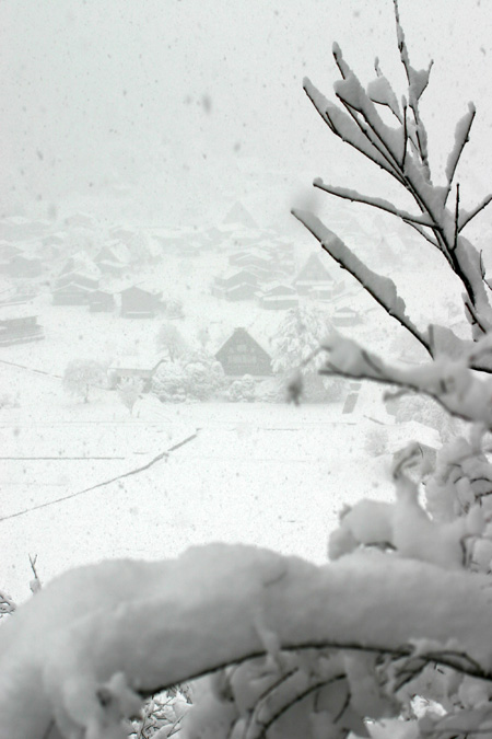 本格的な冬の到来〜 白川郷２