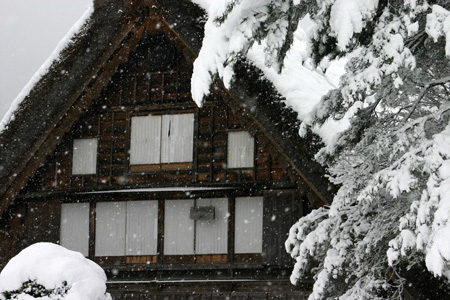 本格的な冬の到来〜 白川郷4