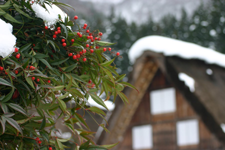 世界文化遺産として多くの観光客が訪１