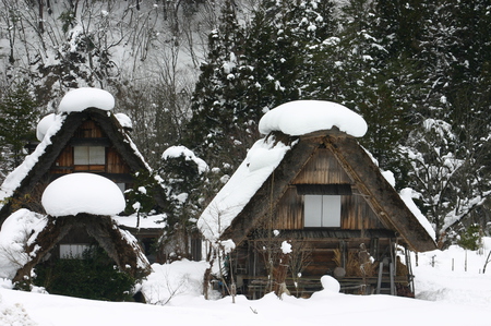 なつかしく 美しい 日本の風景がここに１