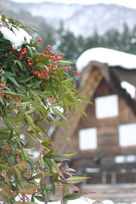 なつかしく 美しい 日本の風景がここに７
