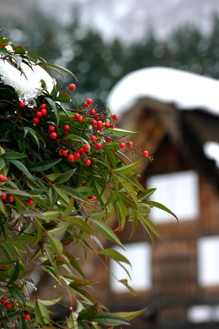 冬の世界遺産 白川郷へ遊びに行こう！１１