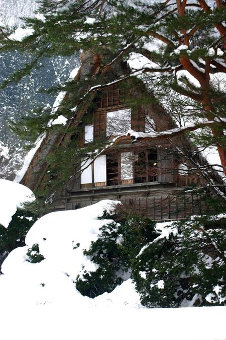 今年1年ブログをご覧いただき3