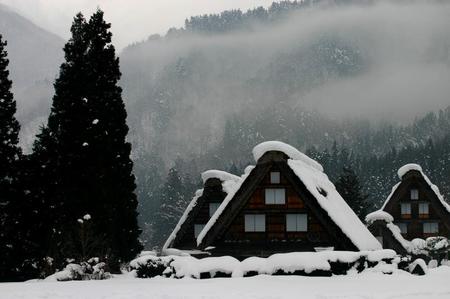 今年1年ブログをご覧いただき８