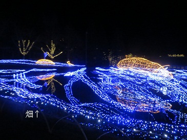 畑にイルミ