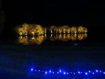 池ライトアップ