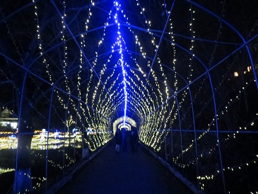 トンネルイルミ2