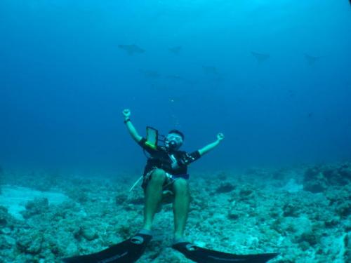 サイパン ダイビング セルフィッシュ