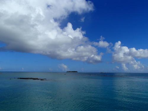 サイパン ダイビング セルフィッシュ