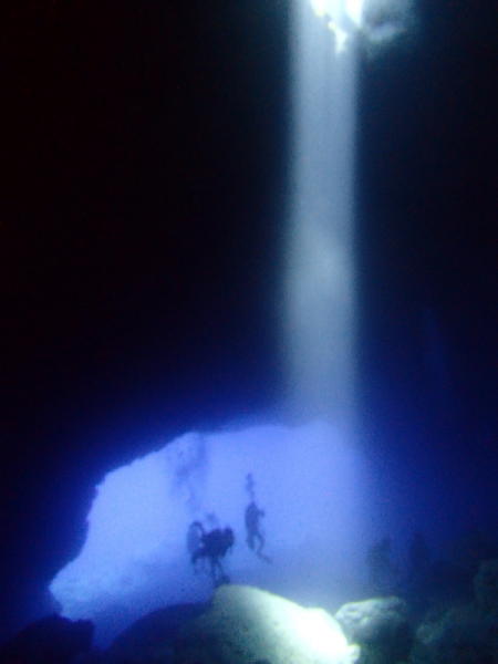 サイパン ダイビング セルフィッシュ