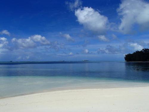 サイパン ダイビング セルフィッシュ