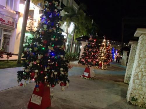 サイパン ダイビング セルフィッシュ