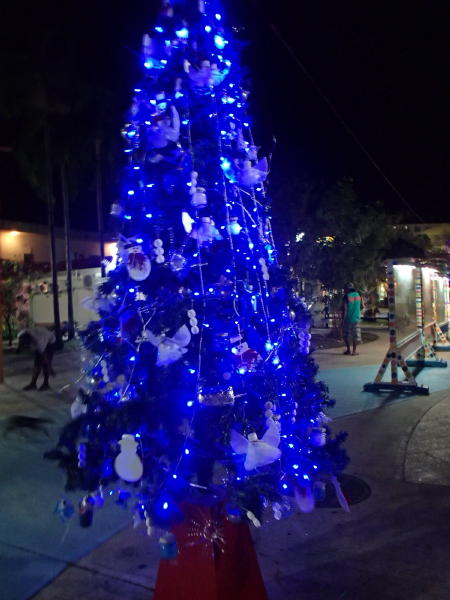 サイパン ダイビング セルフィッシュ