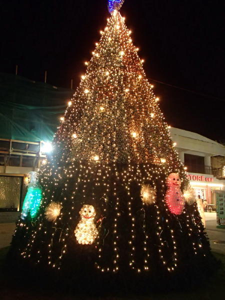 サイパン ダイビング セルフィッシュ