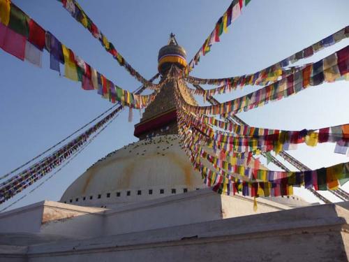 2014年元旦のボウダ4