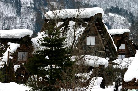 本物の感動を目の当たりにすると４