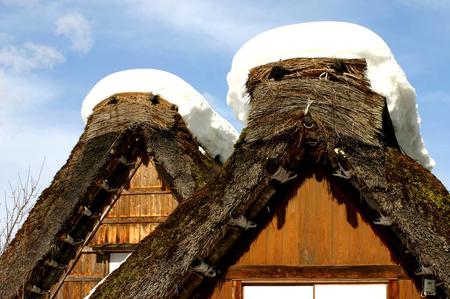 本物の感動を目の当たりにすると６