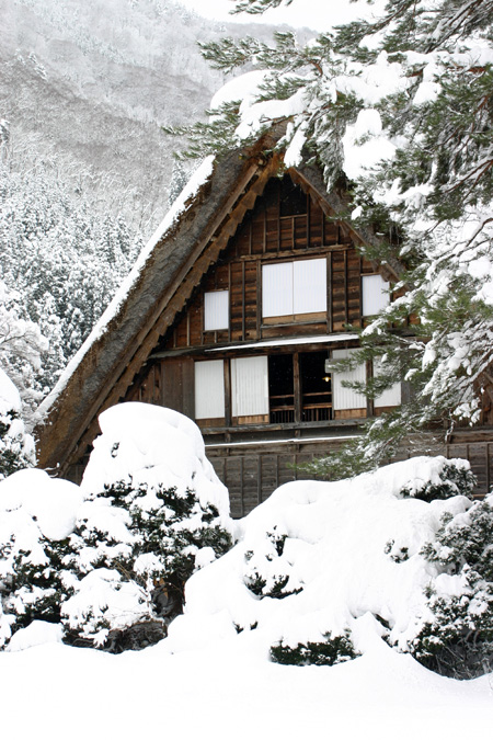 見渡す限りの白銀〜世界遺産 白川郷〜3