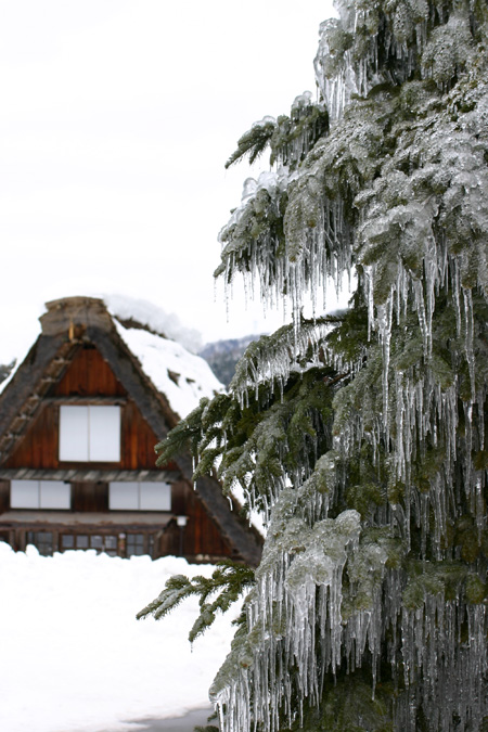 １月１８日土曜に白川郷ライトアップ開催８