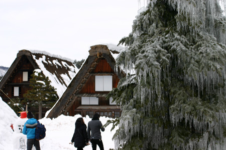 １月１８日土曜に白川郷ライトアップ開催９