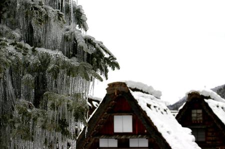 明日! 世界遺産の白川郷ライトアップ?