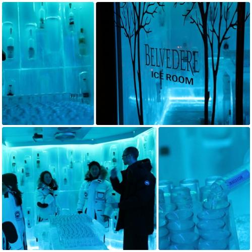 ウィスラー／アイスルーム