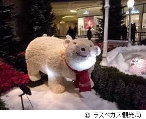 ボタニカルガーデン１