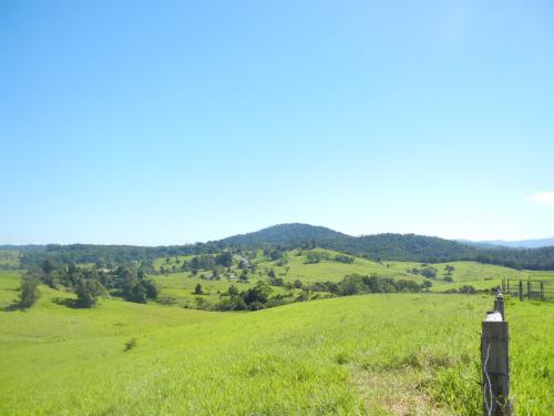 どこまでも広がる草原の風景は日本の北海道