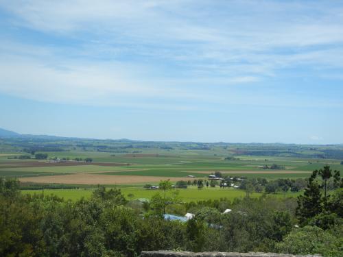 アサートン高原の中心地。緑一面、パッチワ