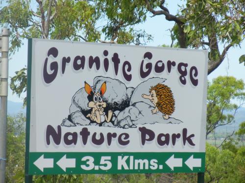 野生のロックワラビー達と触れ合うことが出