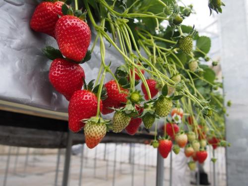 麻績村と筑北村へ行ってきました。030