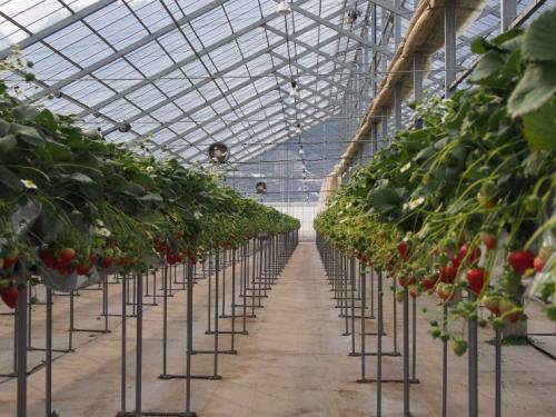 麻績村と筑北村へ行ってきました。031