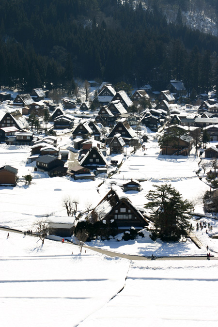 今年は、雪が少ないと言われ〜６